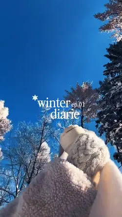 Winter diarie