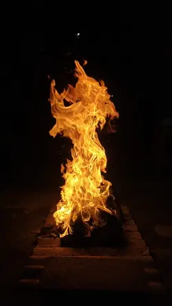 bakar bakar