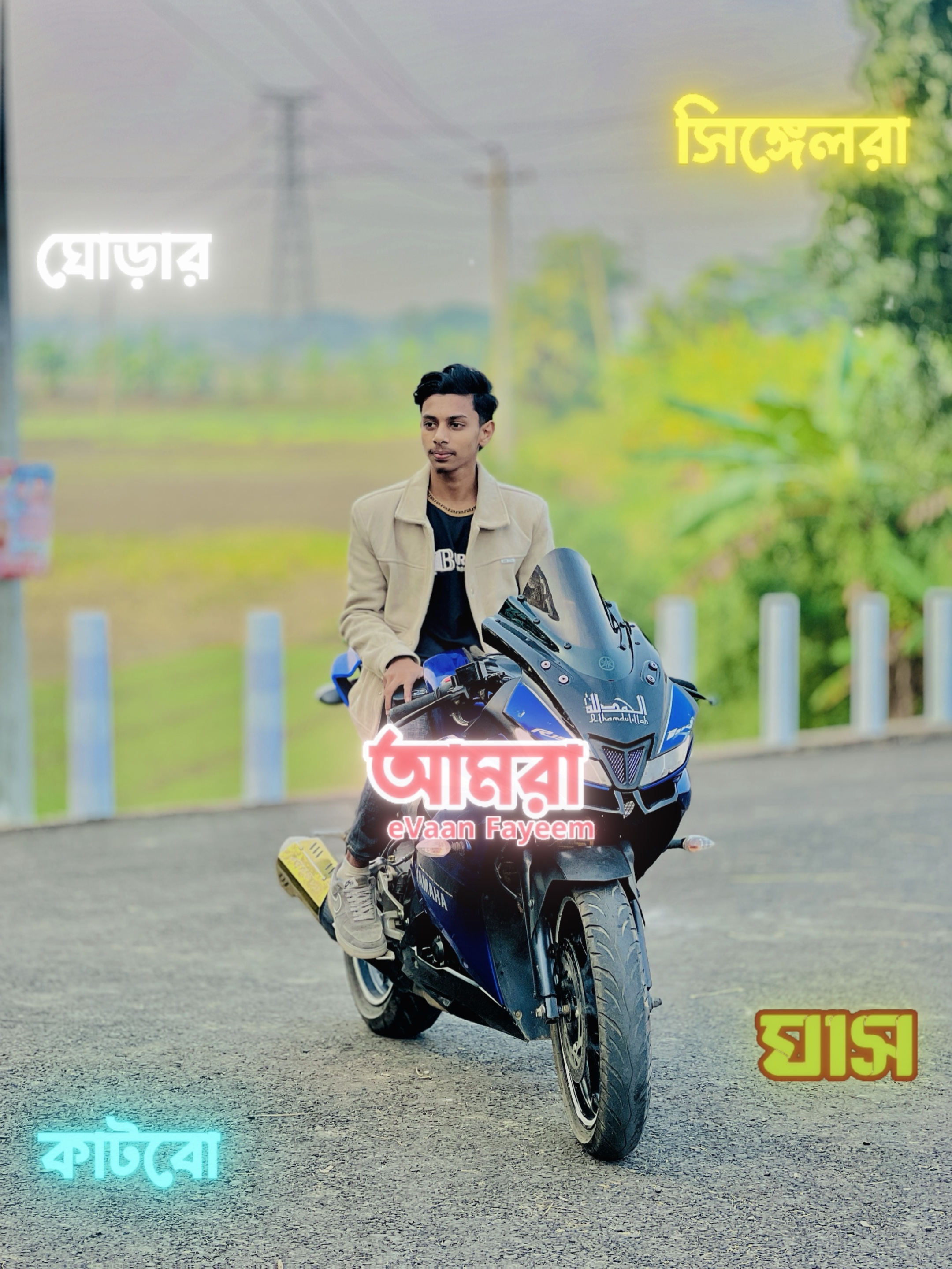 Cover Picture