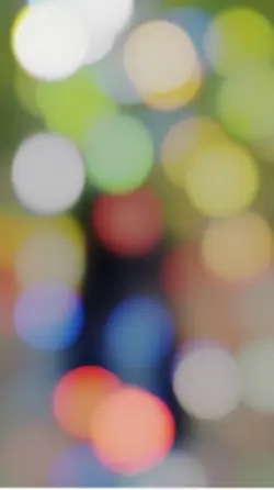 কোই গেলা পাখি আমার