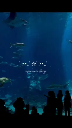 aquarium 
