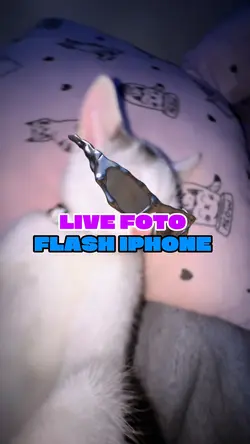 LiveFoto flashIphone