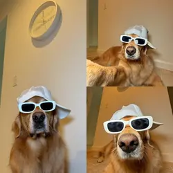 since day one aesthe