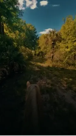Foi você