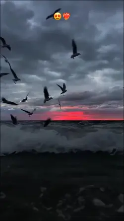 Slowmotion 