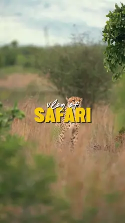 vlog of safari