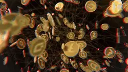 money coins