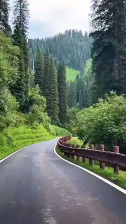 Mini Vlog