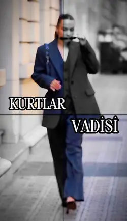 KURTLAR VADİSİ
