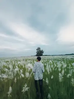 কাশফুল ভিডিও slowmo 