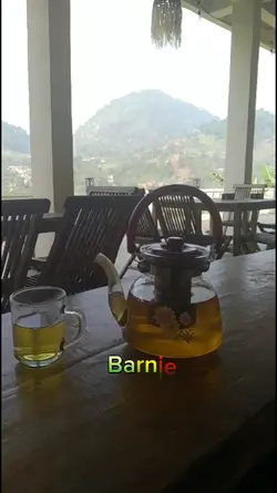 Barnie is a dinosaur