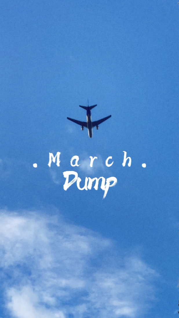 Volcado de marzo