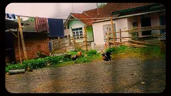 slowmo 1 video 