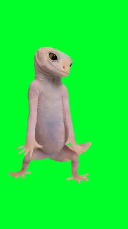 Gecko throwing shade