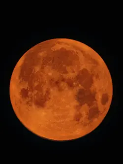 Notte Incantata