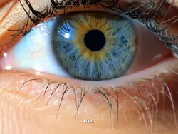 Eye Zoom Trend