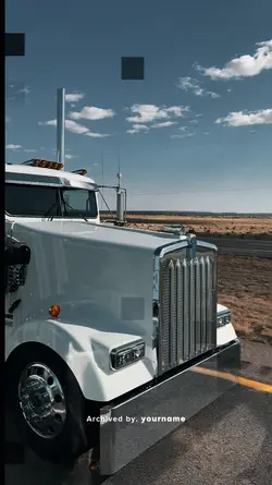 TRUCKSTHETIC
