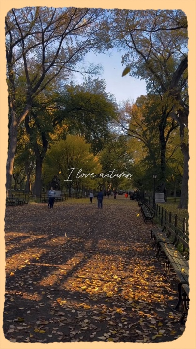 Ich liebe den Herbst