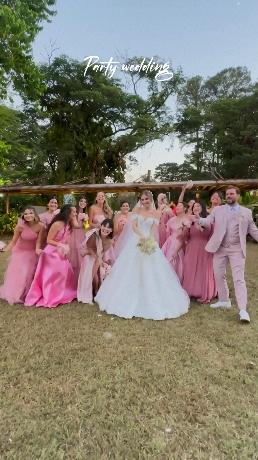 Fiesta de boda 