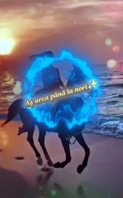 Sus pe Transfăgără..