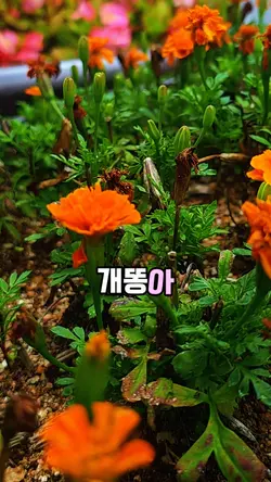 제작지원 하루명언 밥먹어라