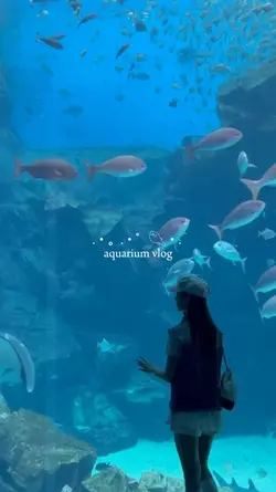 mini vlog aquarium 