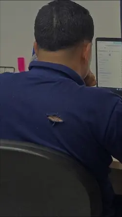 camisa rasgada
