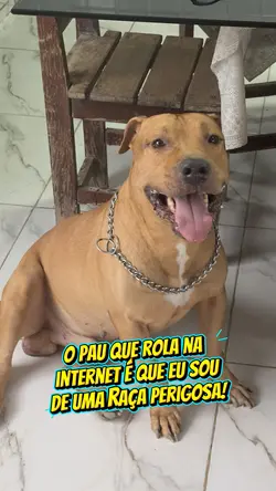 Trend do Será?