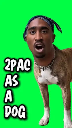 2PAC AS A DOG