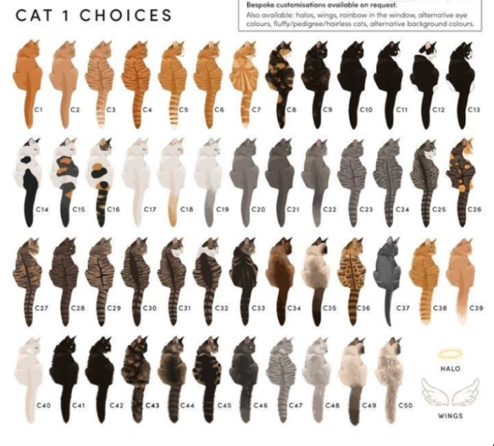 Template creatoes