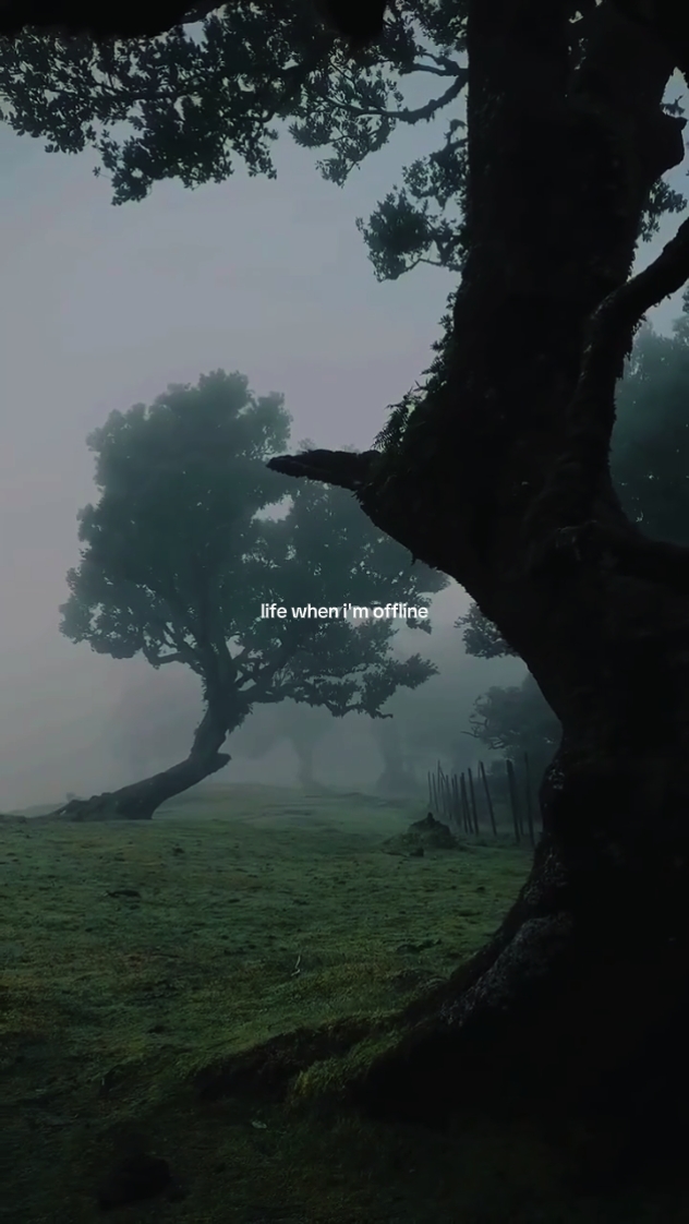 Life when im offline