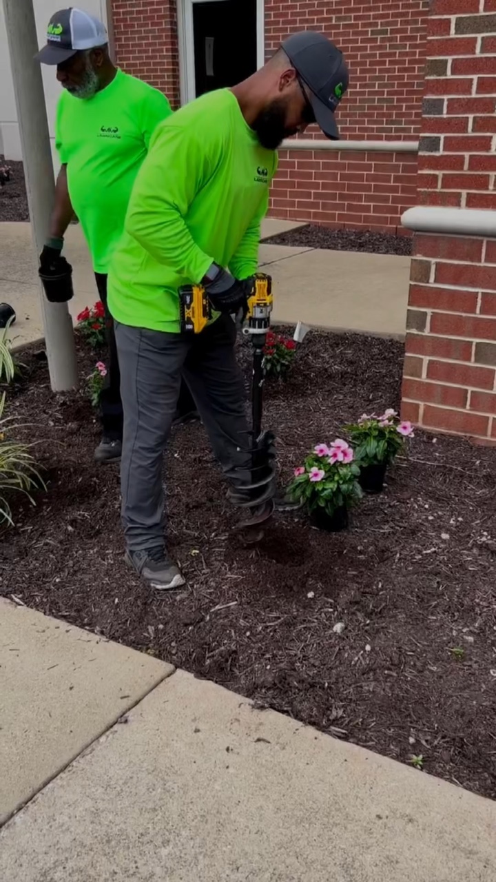 Berkebun