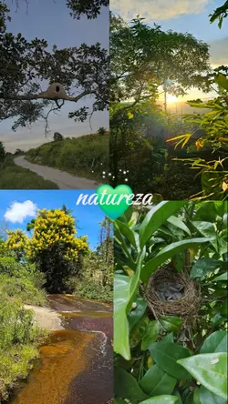 natureza 