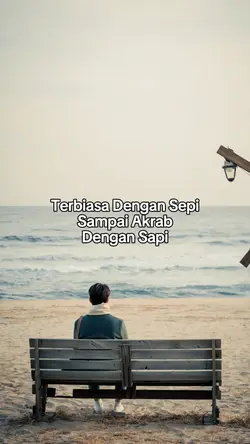 Terbiasa Dengan Sapi