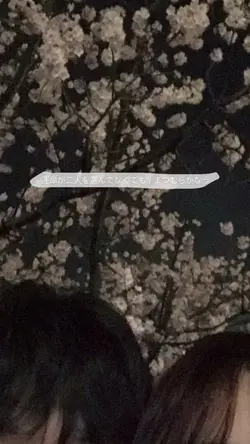 運命が二人を選んでなくても