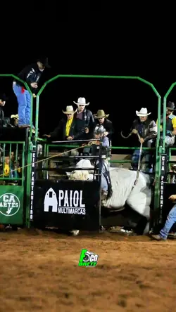 Rodeio peao