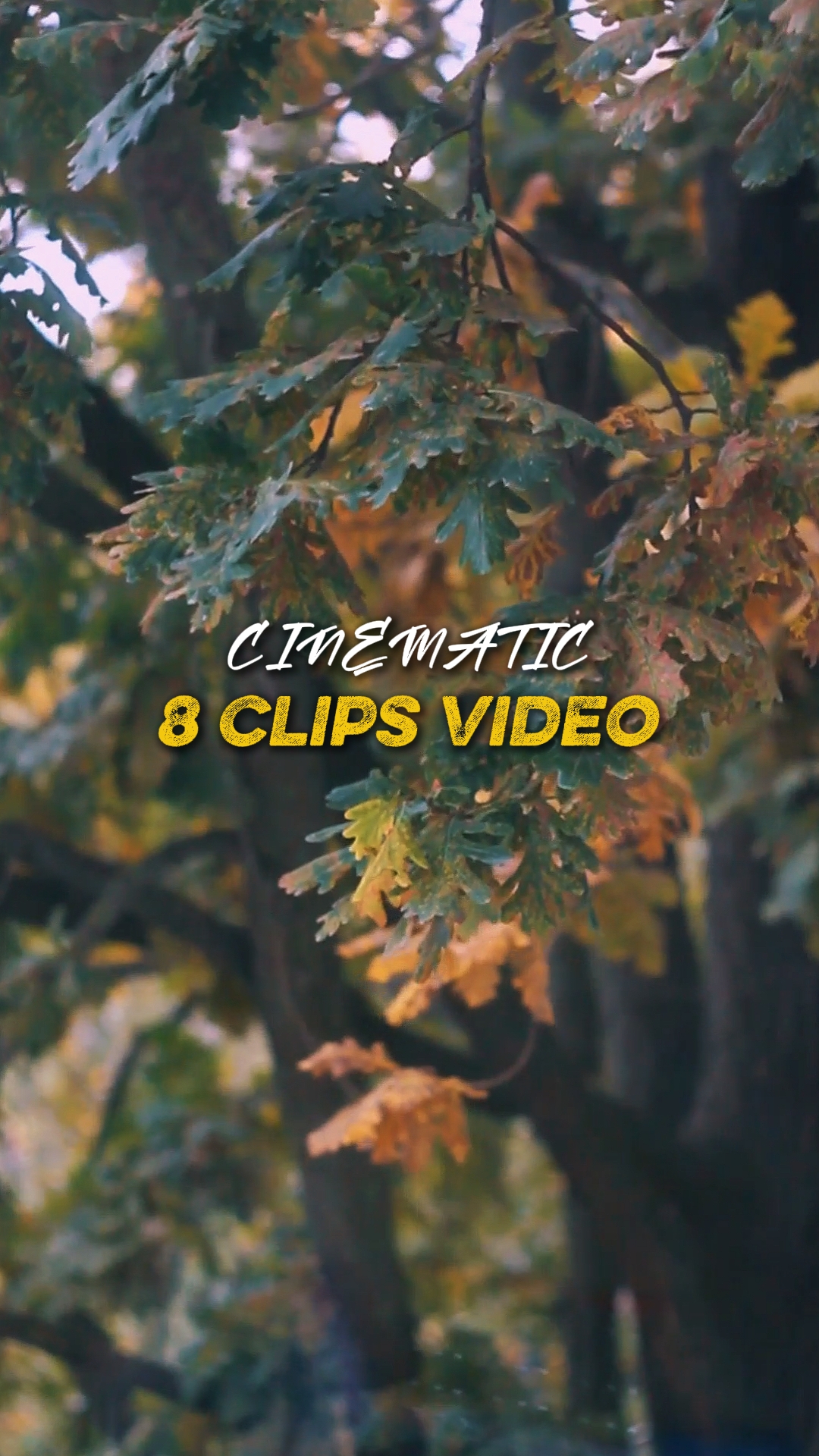 Cinematic 8 Video