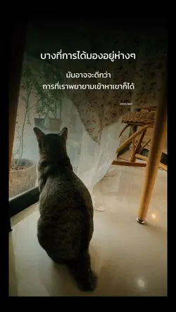 ชอบประโยคนี้🍀