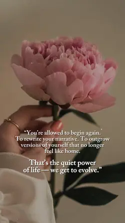 Quiet Power Of Life