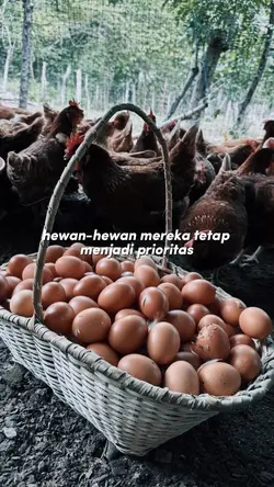 SEBAGAI PETERNAK