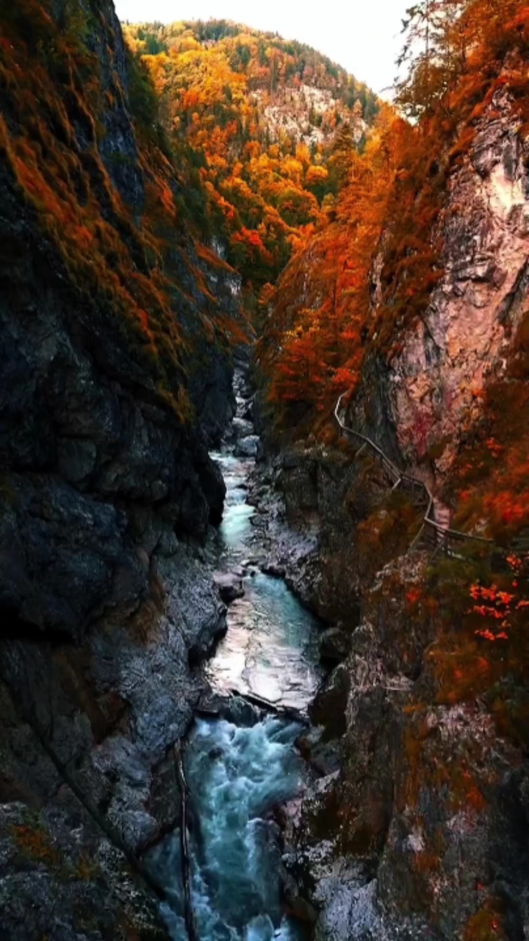 Aventura
