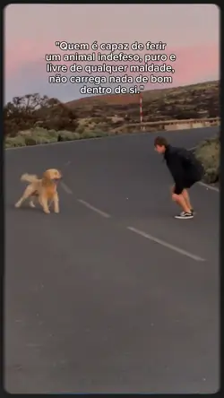 foto / video com pet