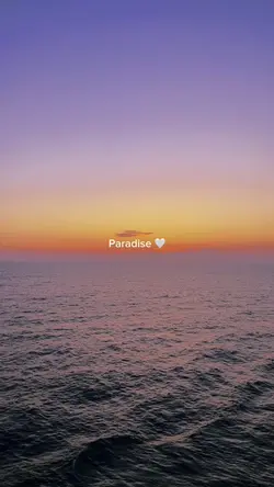 Paradise 