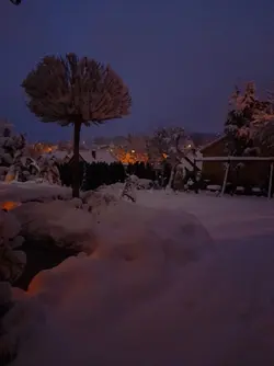 Dziękuję za eksport