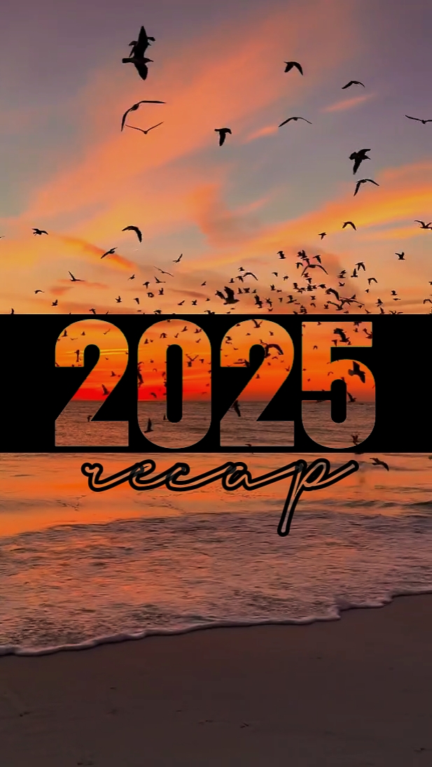 2025 요약