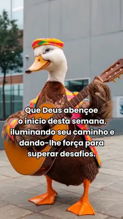 ótima semana