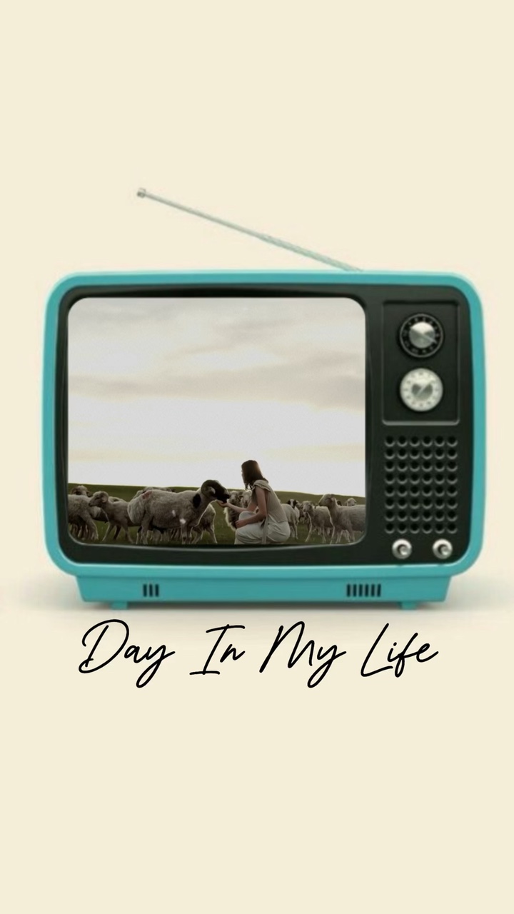 Day in my life 