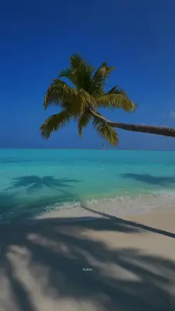 Unmeala aasappattu