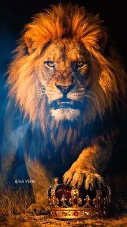 lion king ai