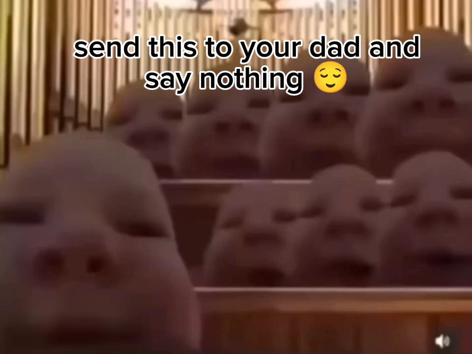 Broma de papá